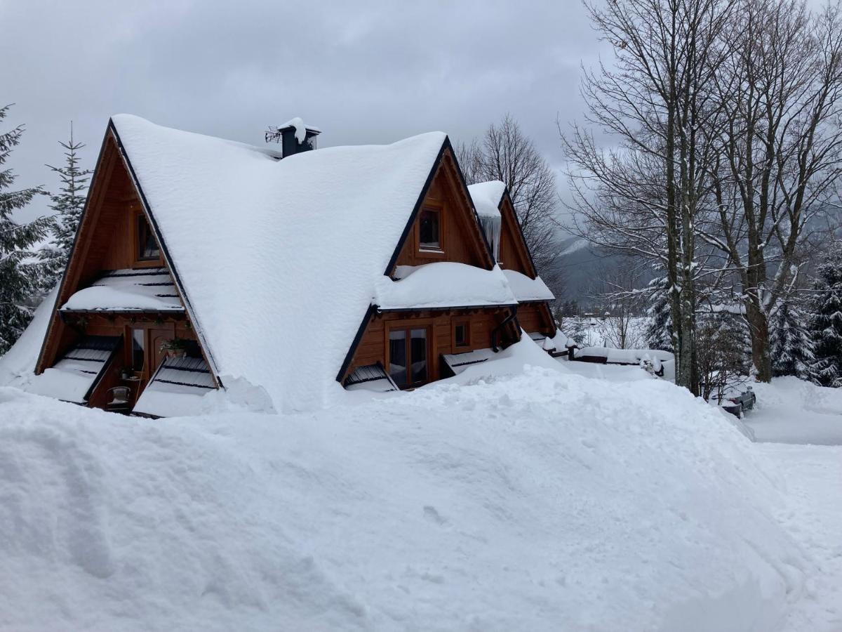 Mountain Dream Apartment Koscielisko Bagian luar foto