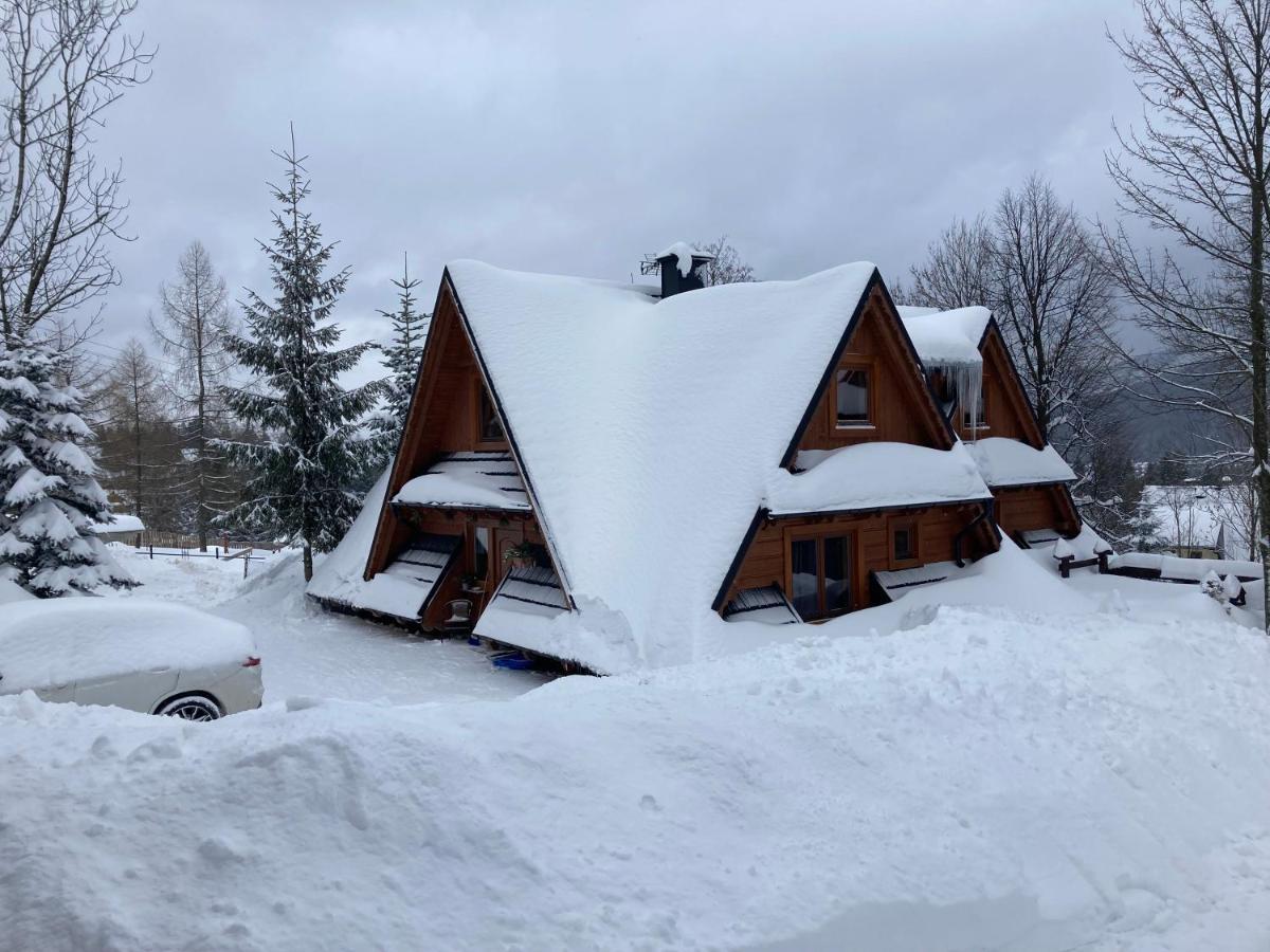 Mountain Dream Apartment Koscielisko Bagian luar foto