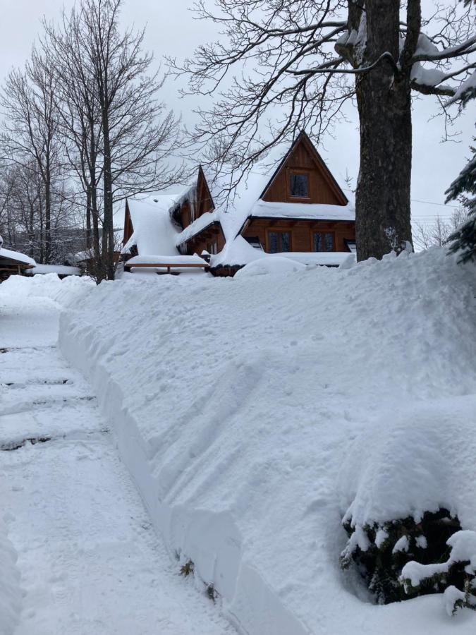 Mountain Dream Apartment Koscielisko Bagian luar foto