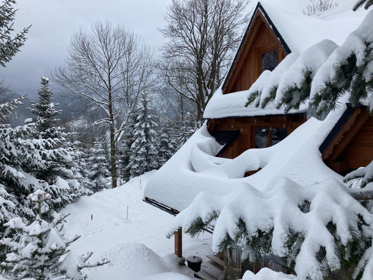 Mountain Dream Apartment Koscielisko Bagian luar foto