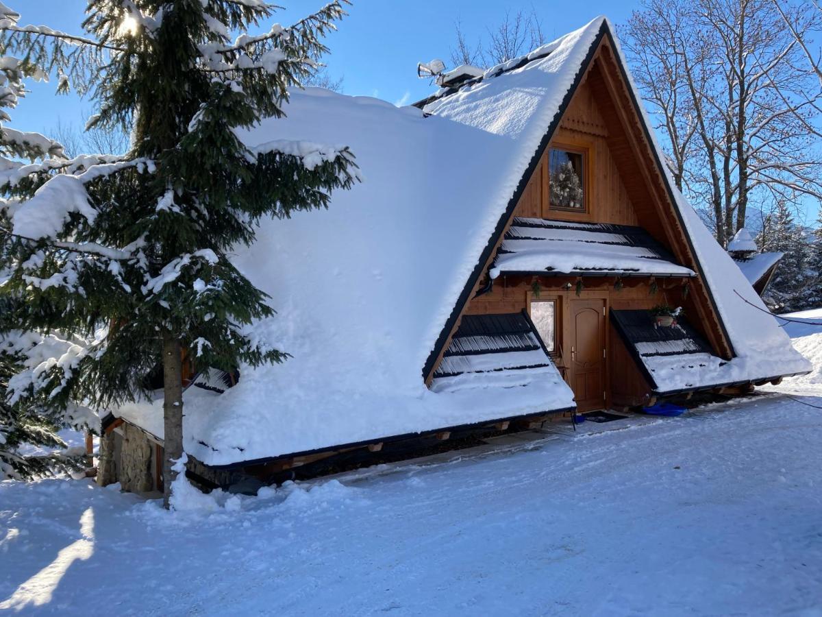 Mountain Dream Apartment Koscielisko Bagian luar foto